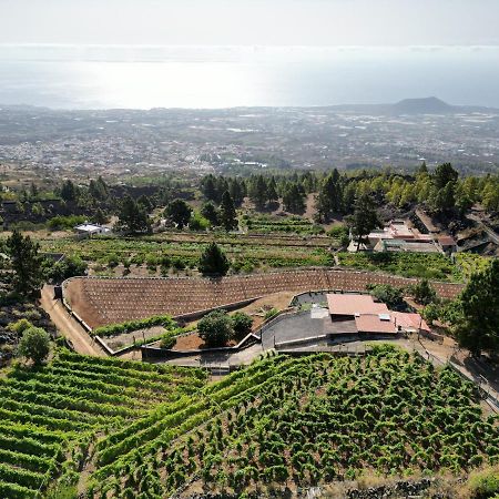 Finca Ecologica Ferrera. Alojamiento Rural. Arafo Exterior foto