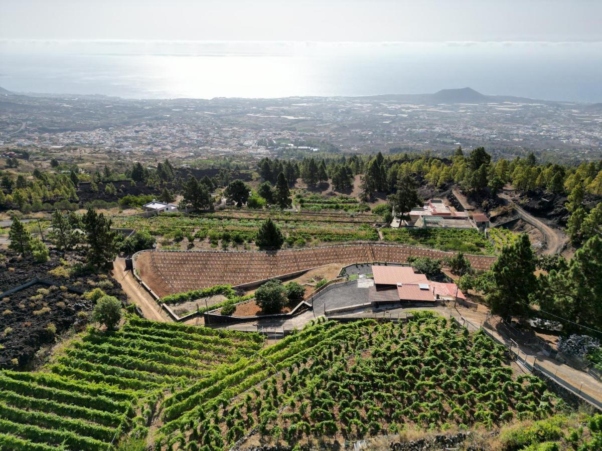 Finca Ecologica Ferrera. Alojamiento Rural. Arafo Exterior foto